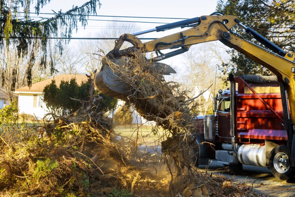 Grapple excavator loading brush and tree debris into a dump truck