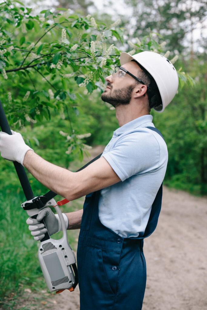 Tree Removal Grapevine Texas