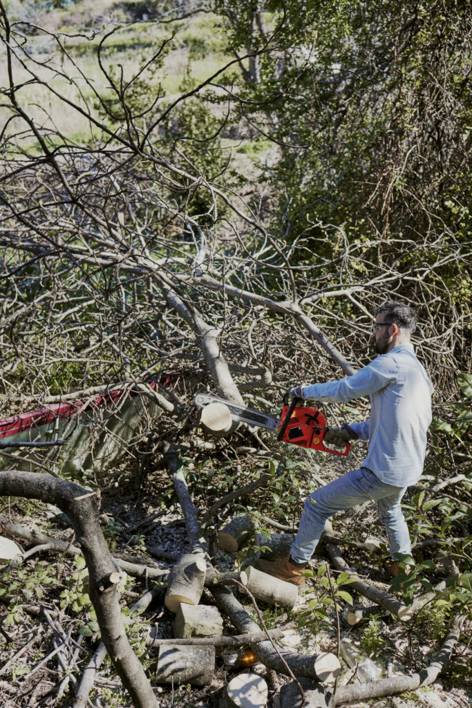 Tree Service Grapevine